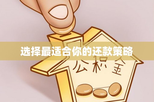 山南选择最适合你的还款策略