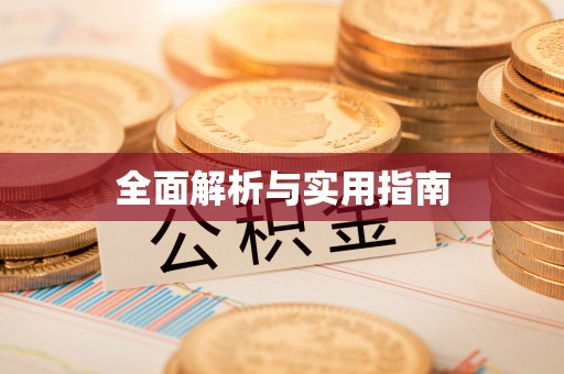 山南全面解析与实用指南