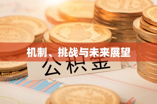 山南机制、挑战与未来展望