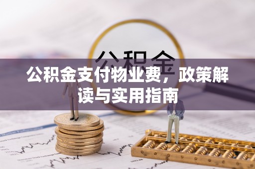 山南公积金支付物业费，政策解读与实用指南
