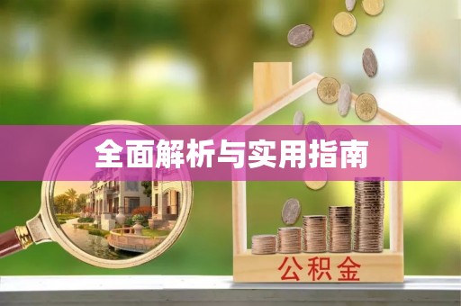 山南全面解析与实用指南