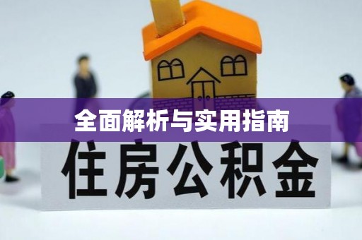 山南全面解析与实用指南