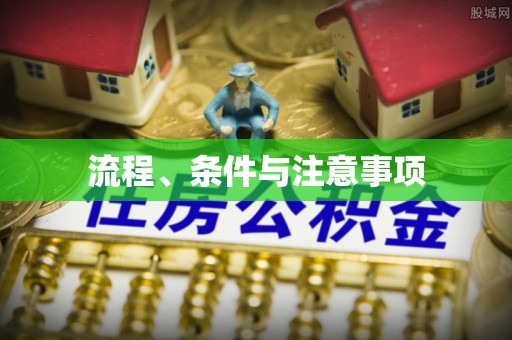 山南流程、条件与注意事项